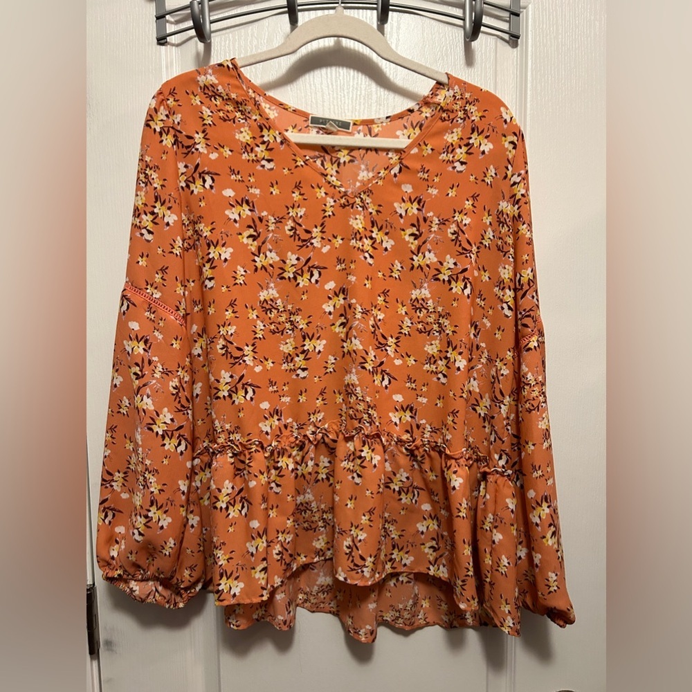Pleione Floral peplum Blouse balloon sleeve women’s large pink Ruffle boho